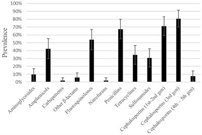 Multidrug resistance in pathogenic Escherichia coli isolates from urinary tract infections in dogs, Spain